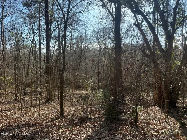 $305,150 | Aberdeen Road, Natchez, MS 39120