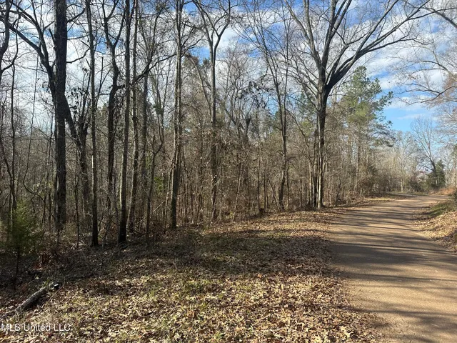 $305,150 | Aberdeen Road, Natchez, MS 39120