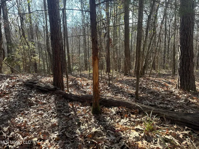 $305,150 | Aberdeen Road, Natchez, MS 39120