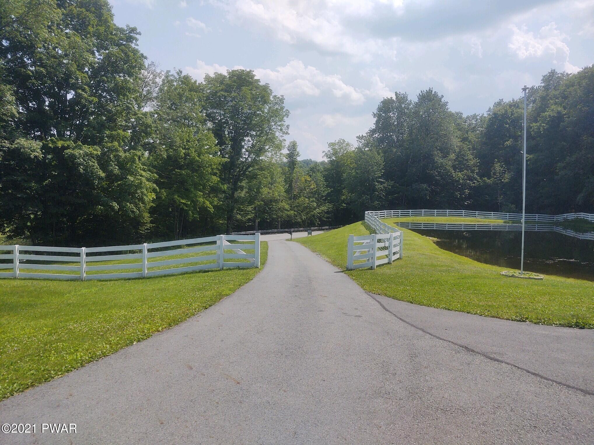 39 Starlight Lake Road Starlight, PA 18461 - Photo 8 of 36 looking down driveway