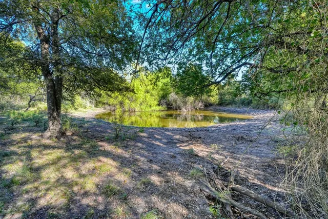 a view of a yard with swimming pool