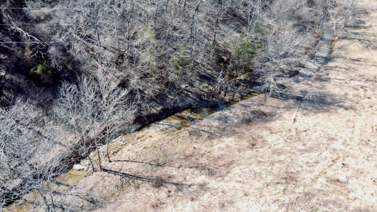 0 Washington Branch Road Owingsville, KY 40360 - Photo 10 of 20 11