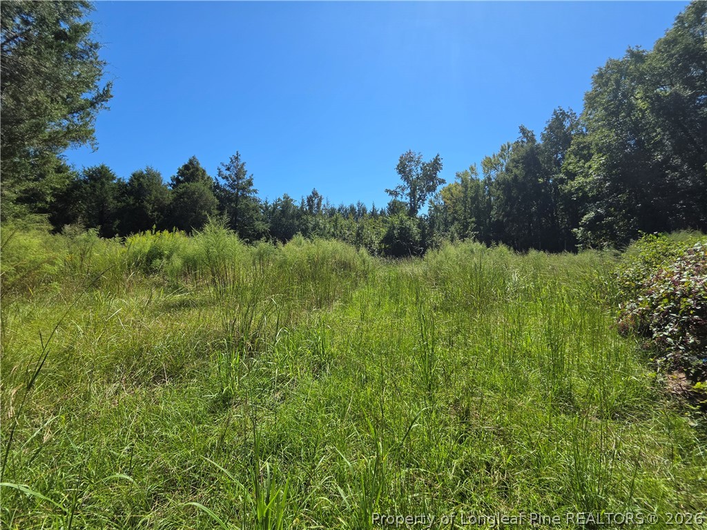 9685 Giles Road Linden, NC 28356 - Photo 9 of 14 Gallery Image 9
