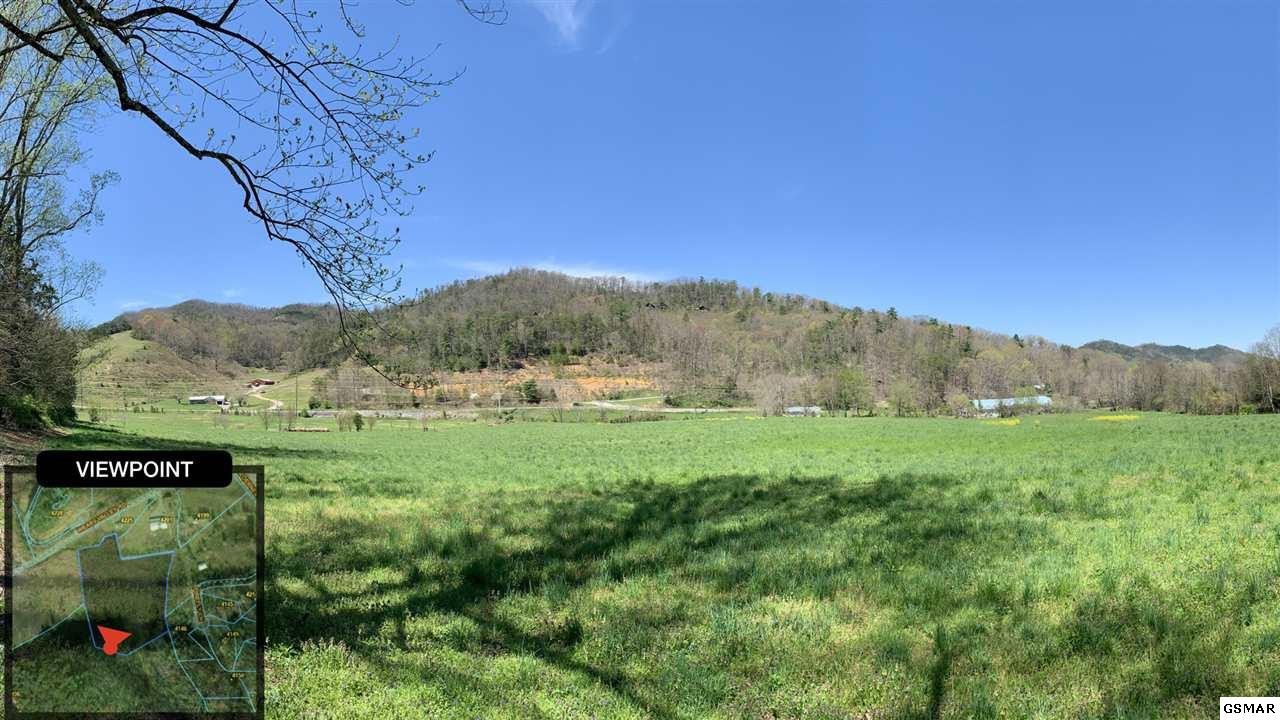 3228 Uncle Harvey Road Sevierville, TN 37862 - Photo 11 of 18 a view of a lush green outdoor space with a mountain in the background