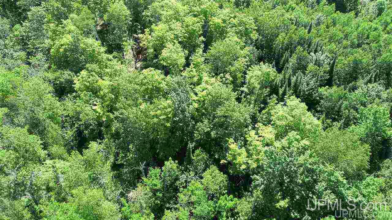 Tbd Off S Curtis Road Germfask, MI 49820 - Photo 19 of 24 Gallery Image 19