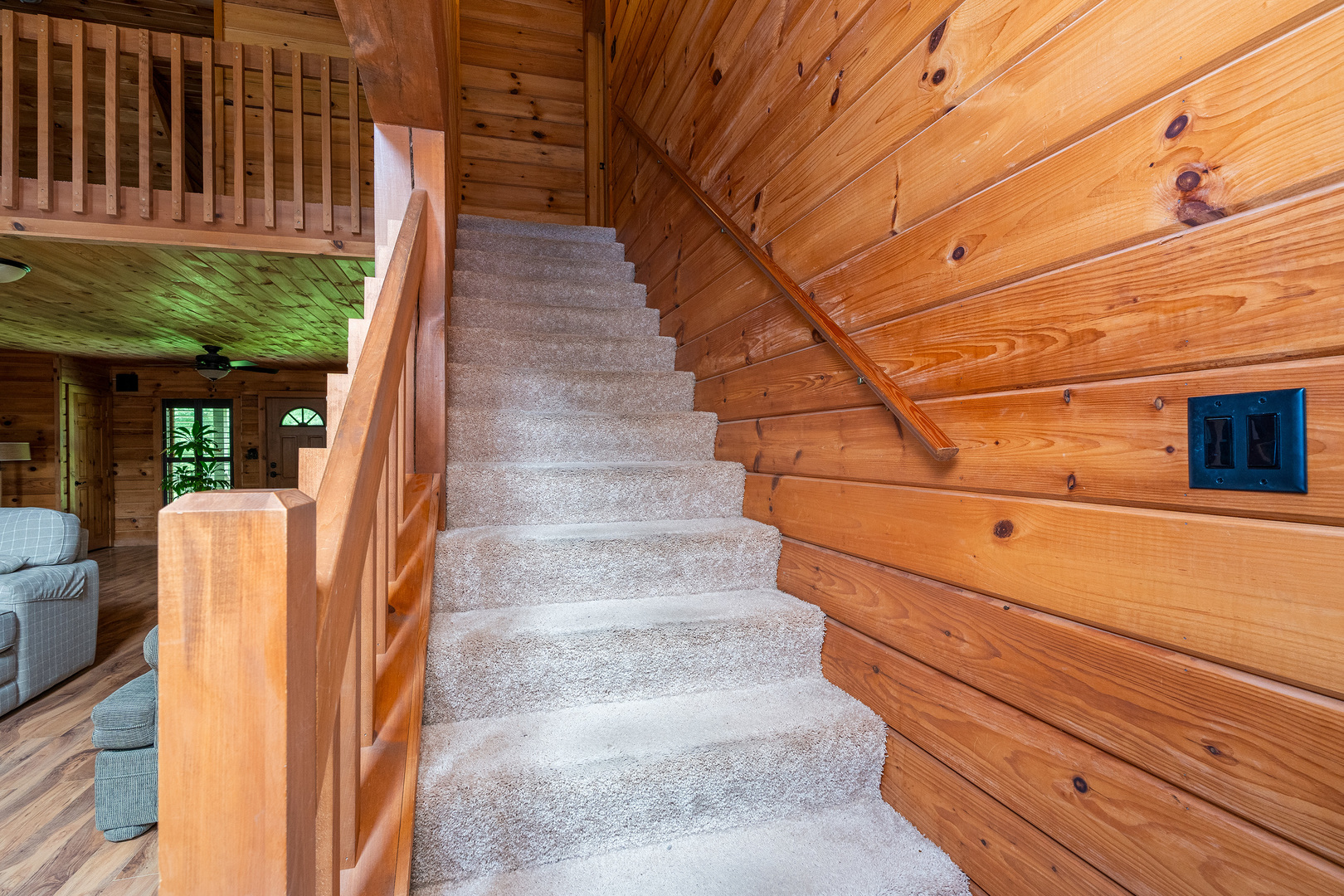 13602 Greenbriar Road Carterville, IL 62918 - Photo 28 of 64