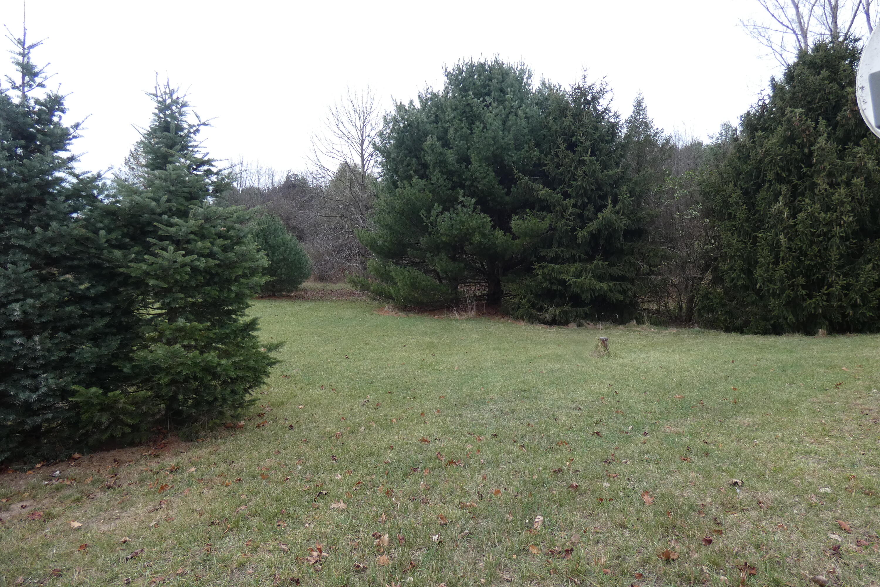 5531 Riverside Road Coloma, MI 49038 - Photo 36 of 52 P1010643