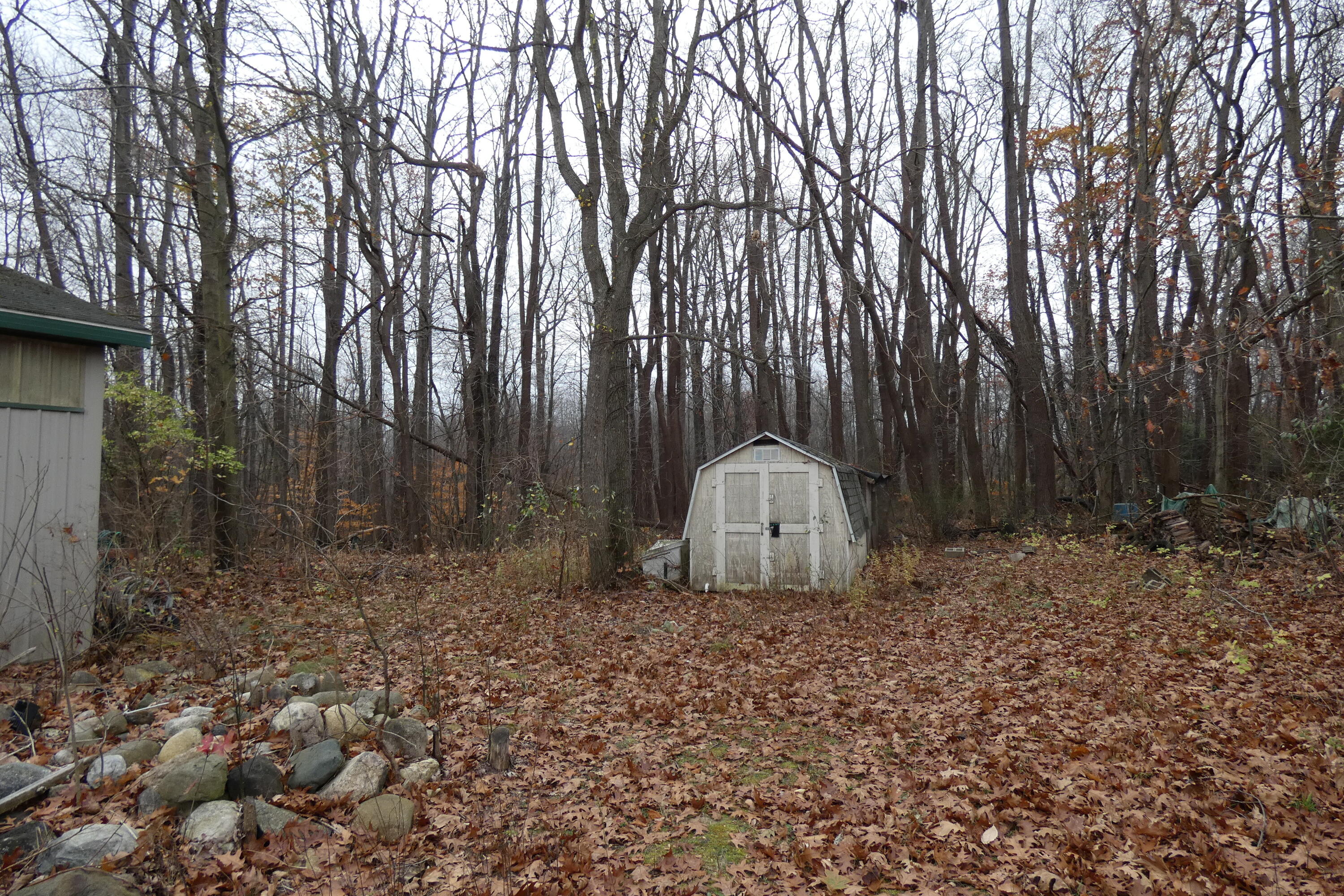 5531 Riverside Road Coloma, MI 49038 - Photo 46 of 52 P1010683