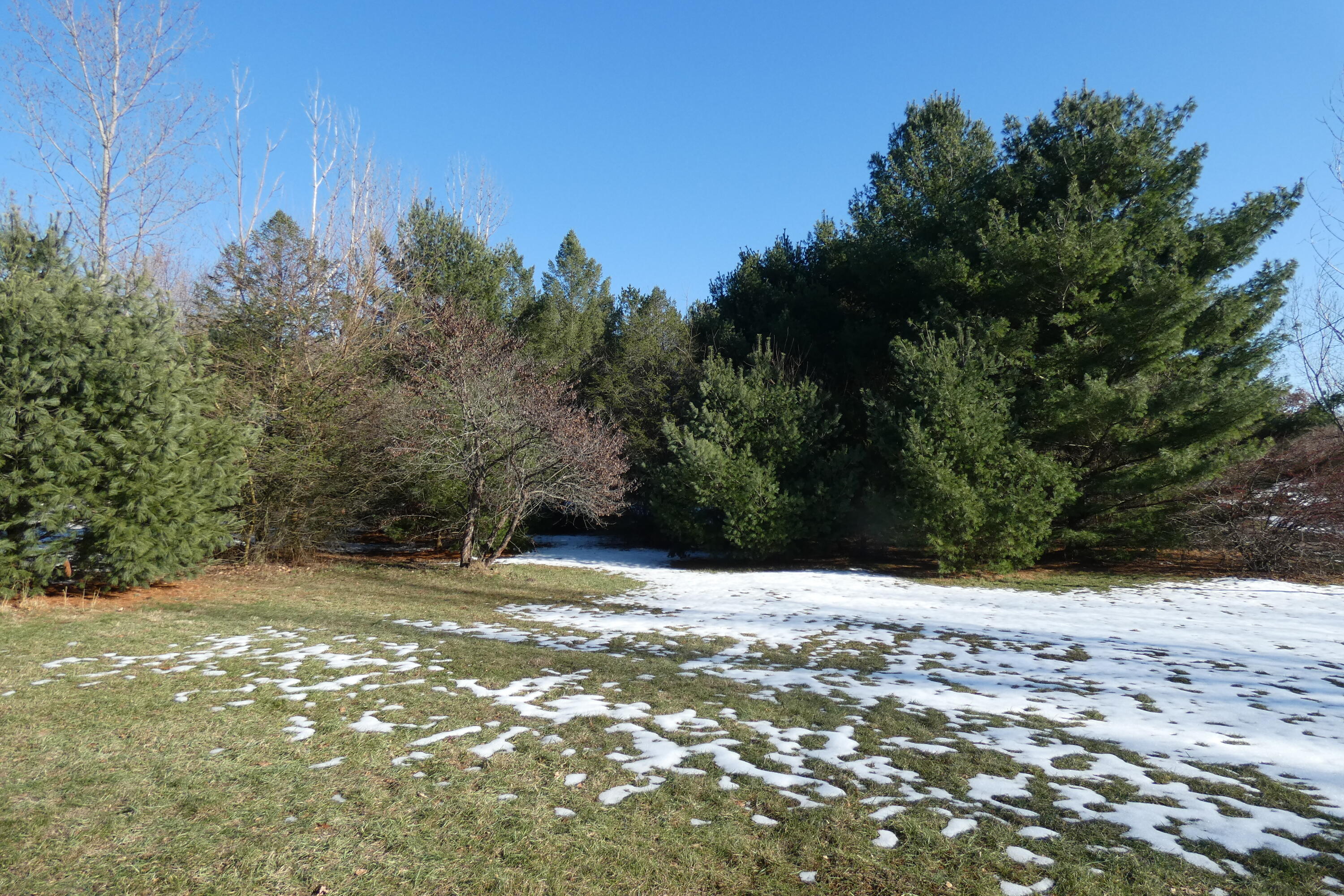 5531 Riverside Road Coloma, MI 49038 - Photo 52 of 52 P1010693