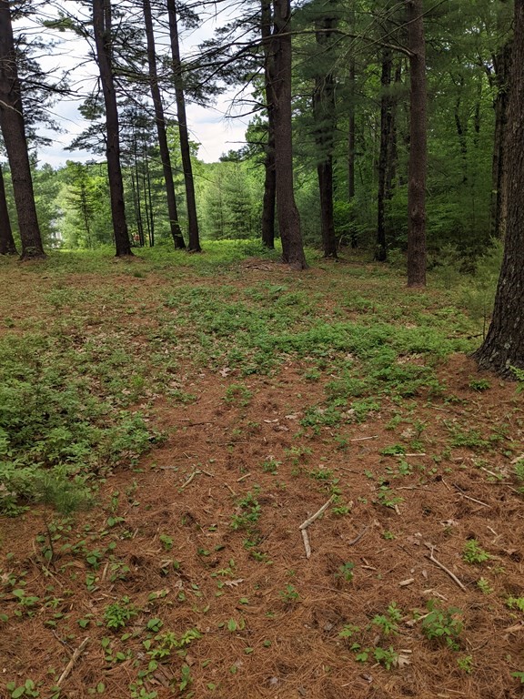 1 Chapin Road Holden, MA 01520 - Photo 5 of 6 Gallery Image 5