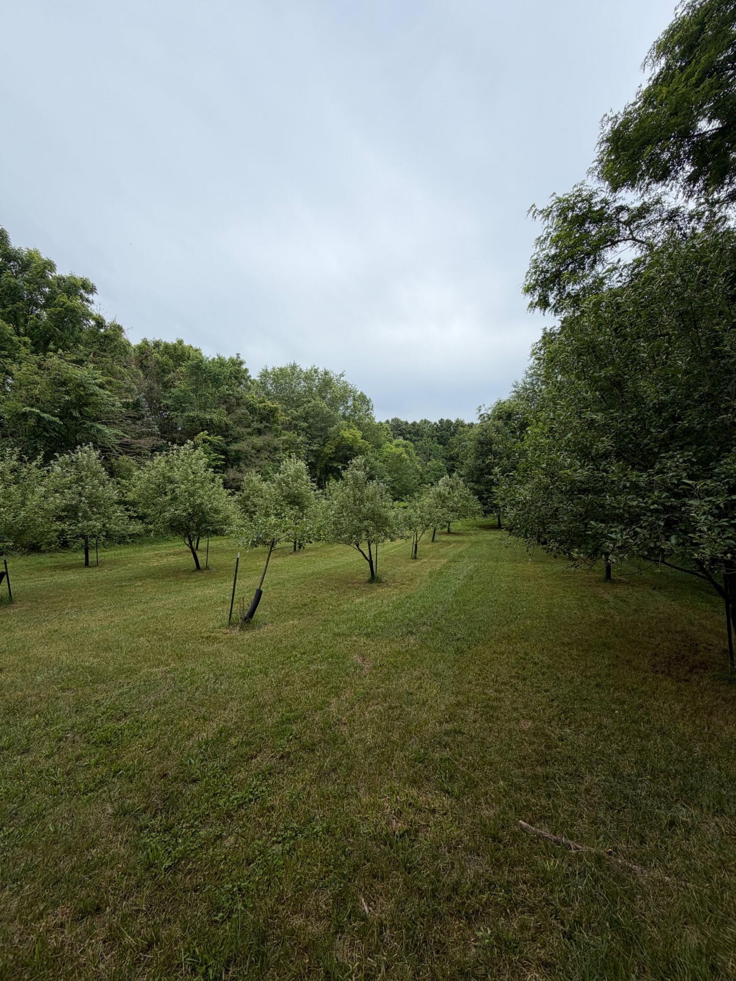52402 Oak Plains Road Marcellus, MI 49067 - Photo 22 of 59 IMG_8510