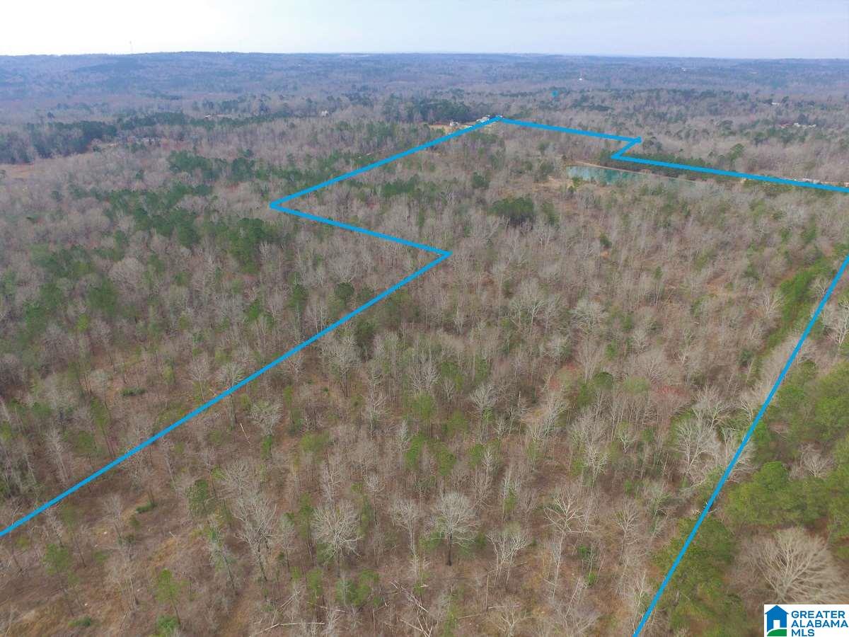 0 Melissa Robyn Road, Unit 1 Deatsville, AL 36022 - Photo 4 of 29