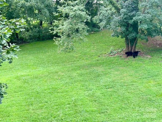 $625,000 | 176 South French Broad Avenue, Asheville, NC 28801