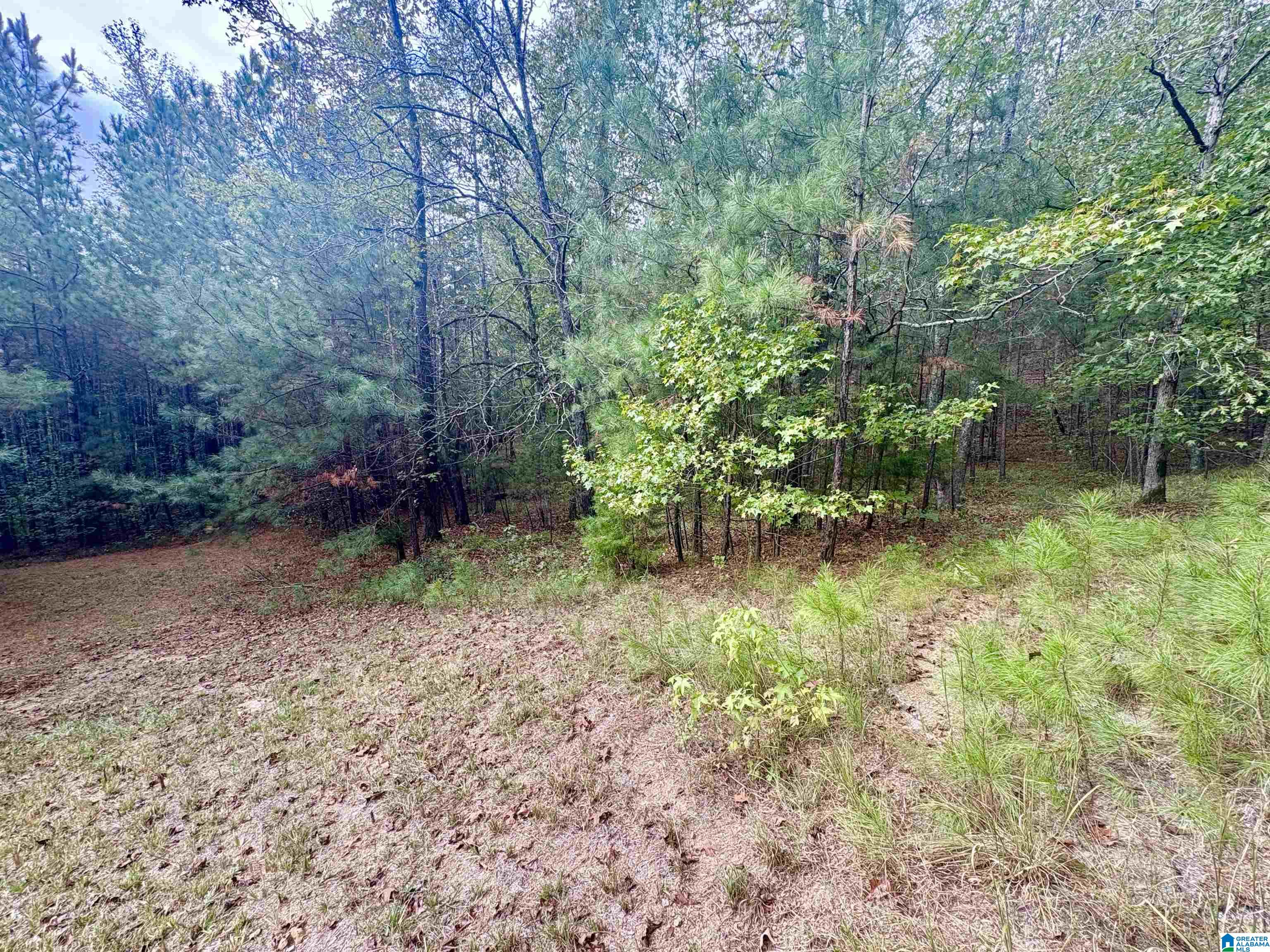 55 Honeycutt Road, Unit 55 Remlap, AL 35133 - Photo 12 of 21