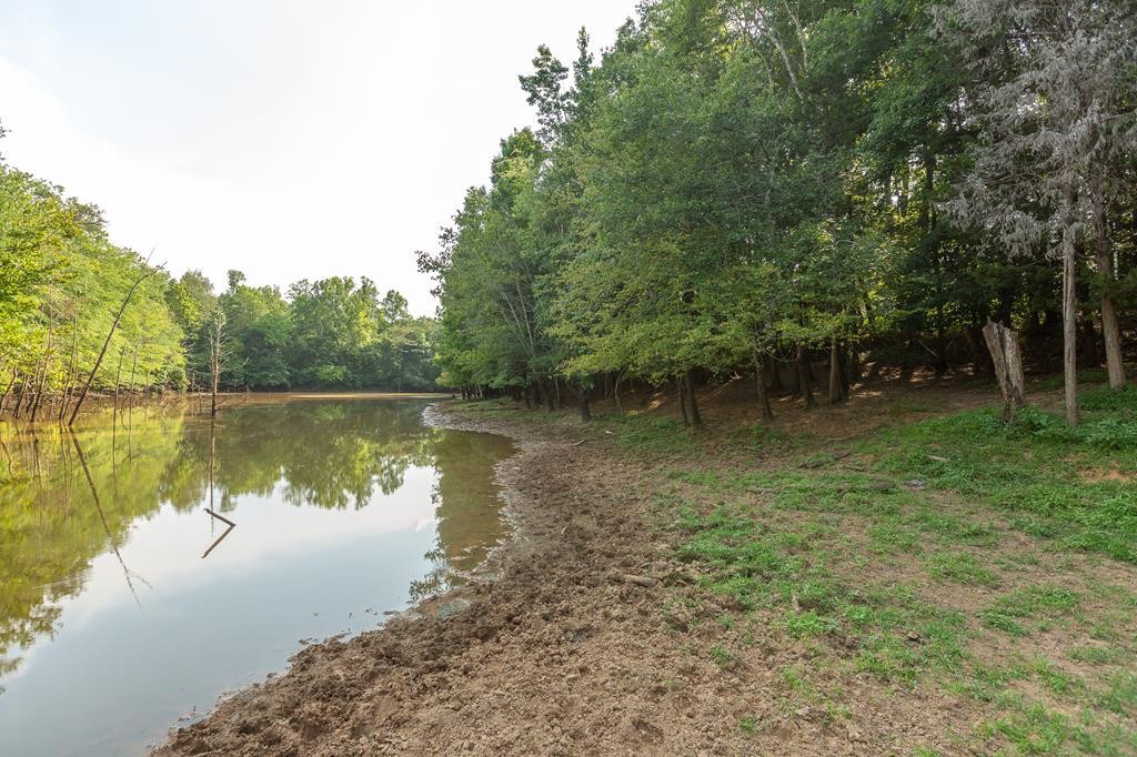 0 Hickory Grove Road Madisonville, TN 37354 - Photo 8 of 32 Gallery Image 8
