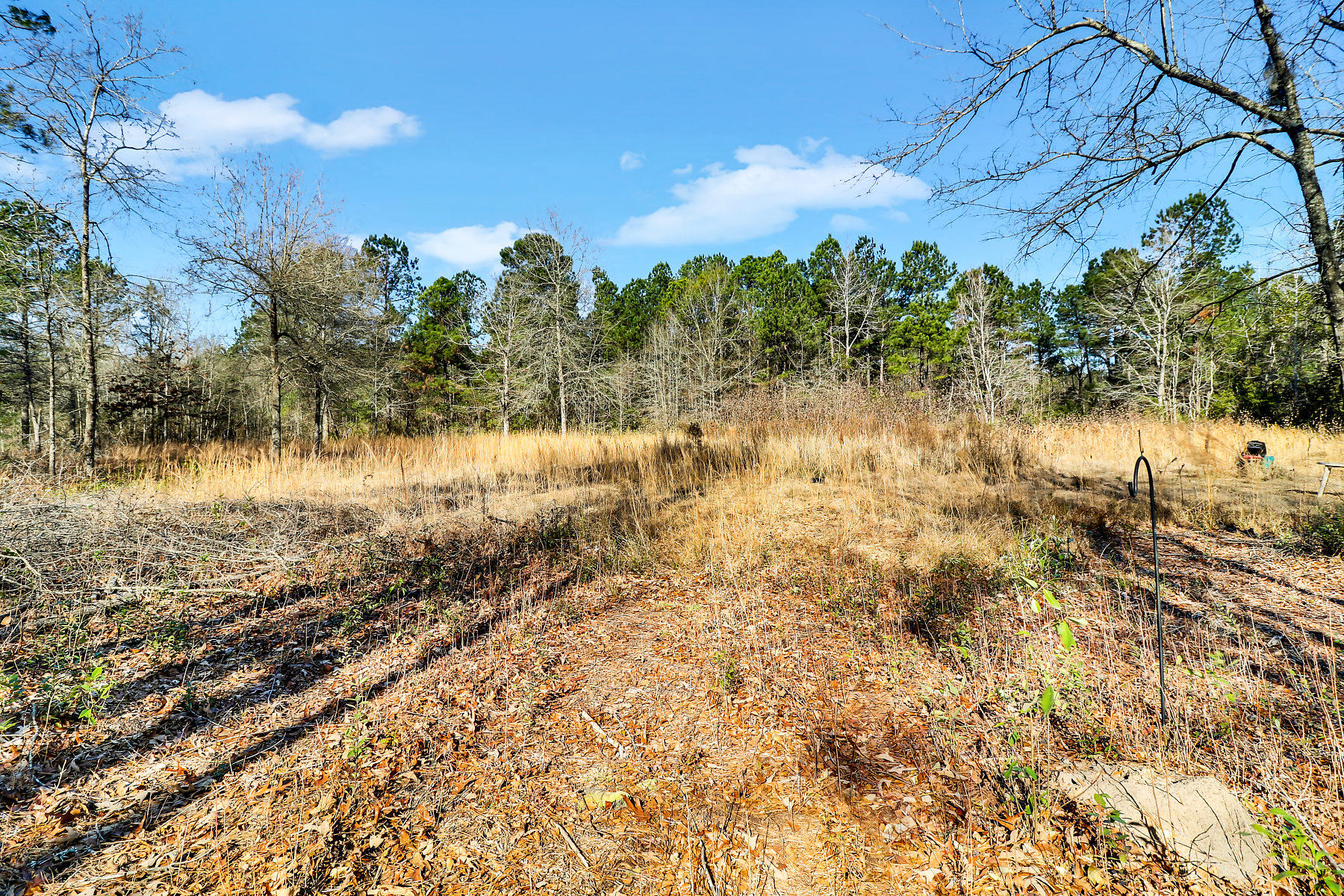 1081 Viper Road Cross, SC 29436 - Photo 1 of 22 _11A6349-SMALL