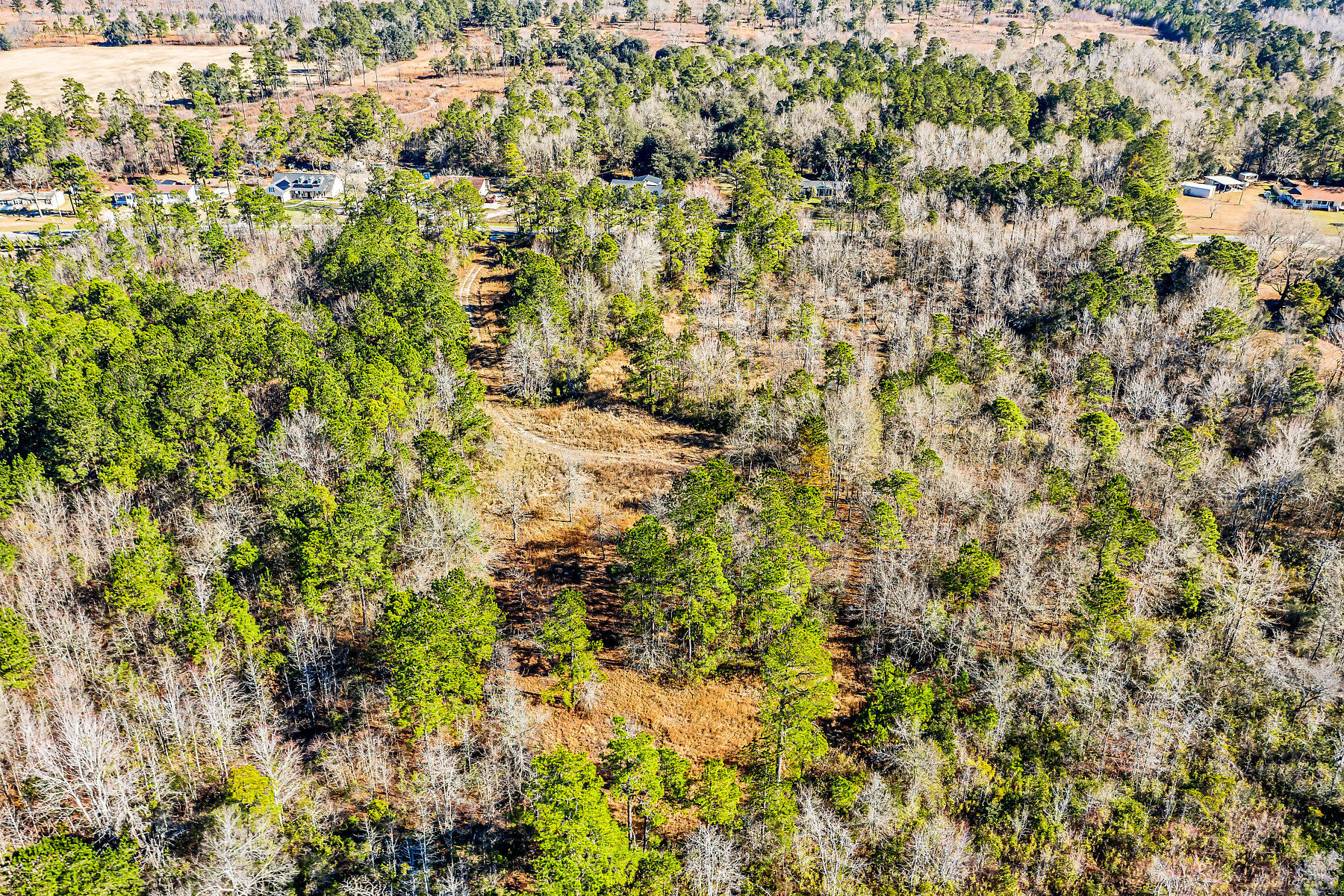 1081 Viper Road Cross, SC 29436 - Photo 18 of 22 DJI_0509-SMALL