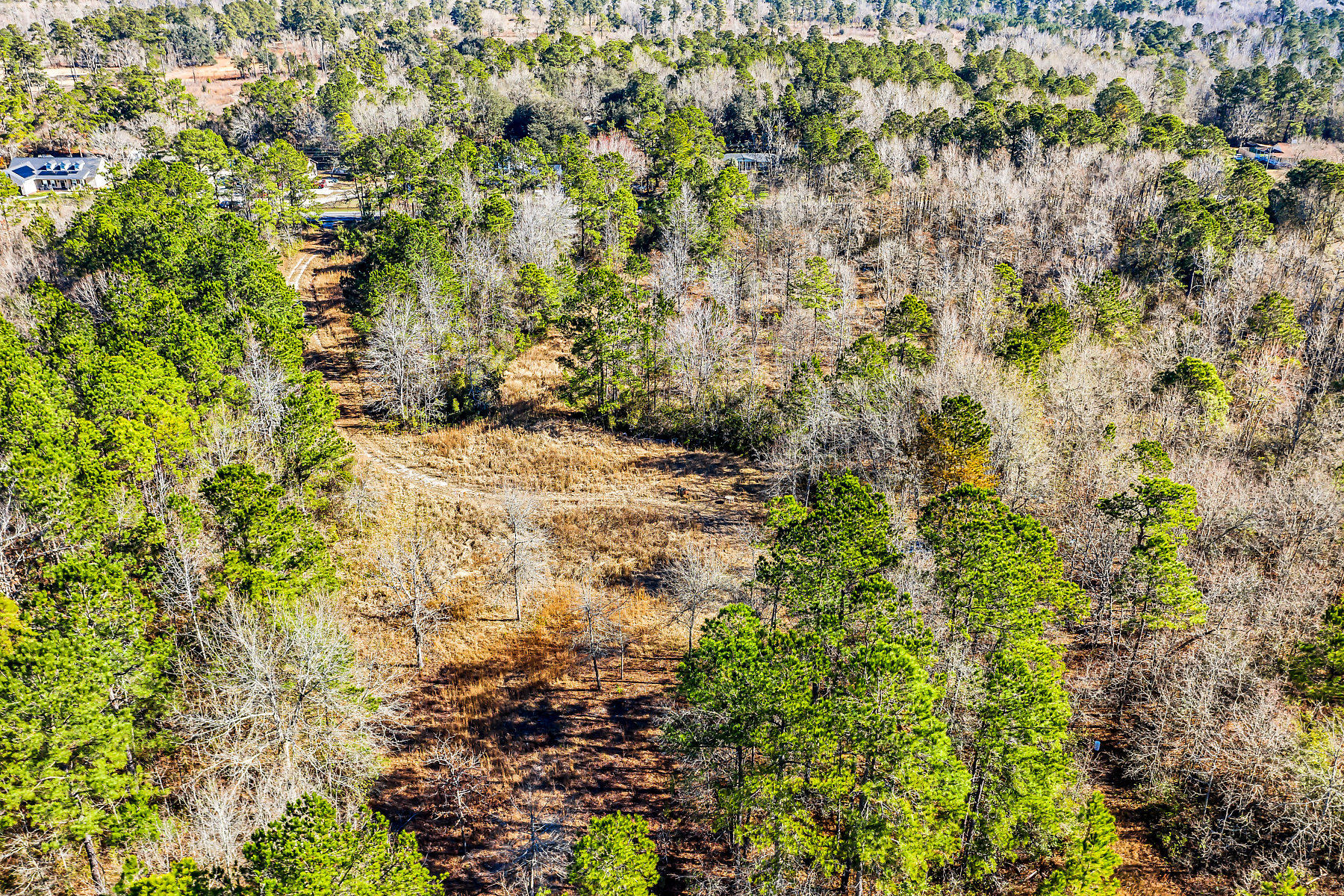 1081 Viper Road Cross, SC 29436 - Photo 19 of 22 DJI_0510-SMALL
