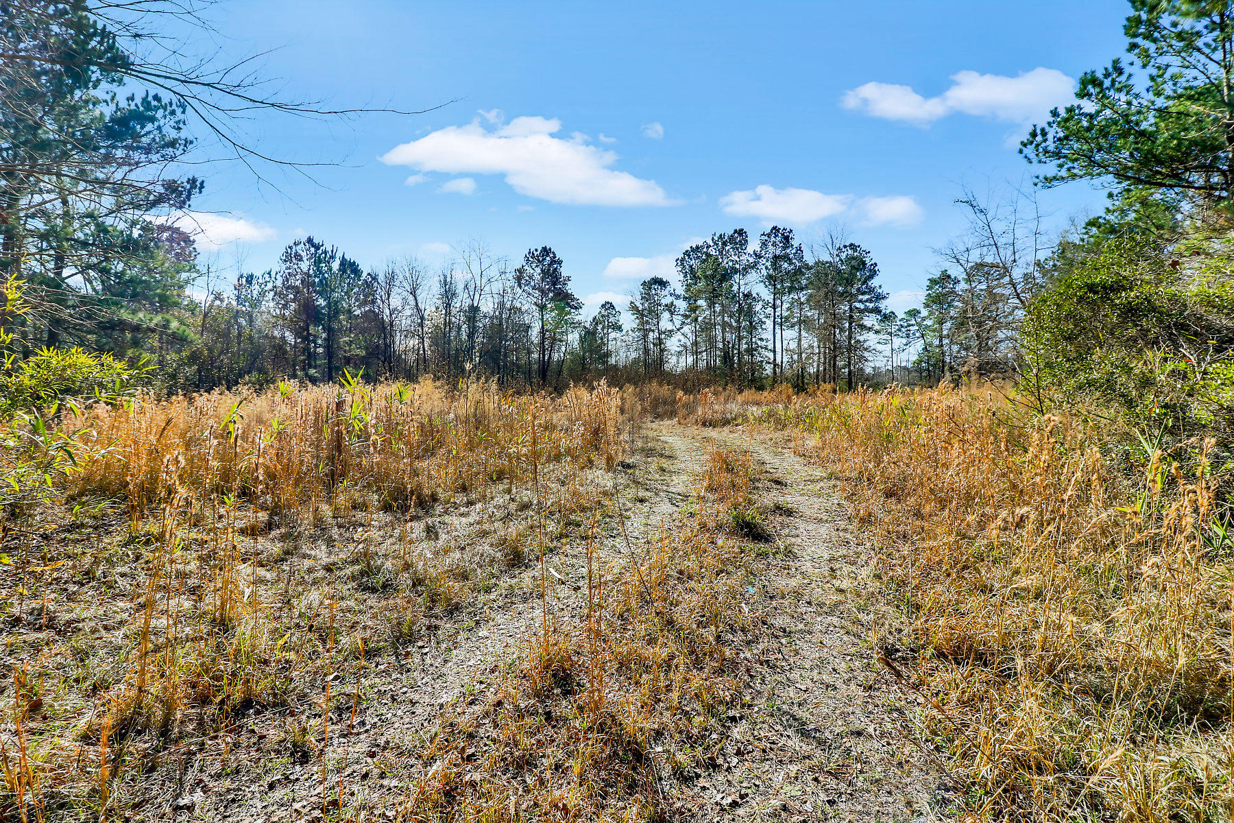 1081 Viper Road Cross, SC 29436 - Photo 6 of 22 _11A6377-SMALL