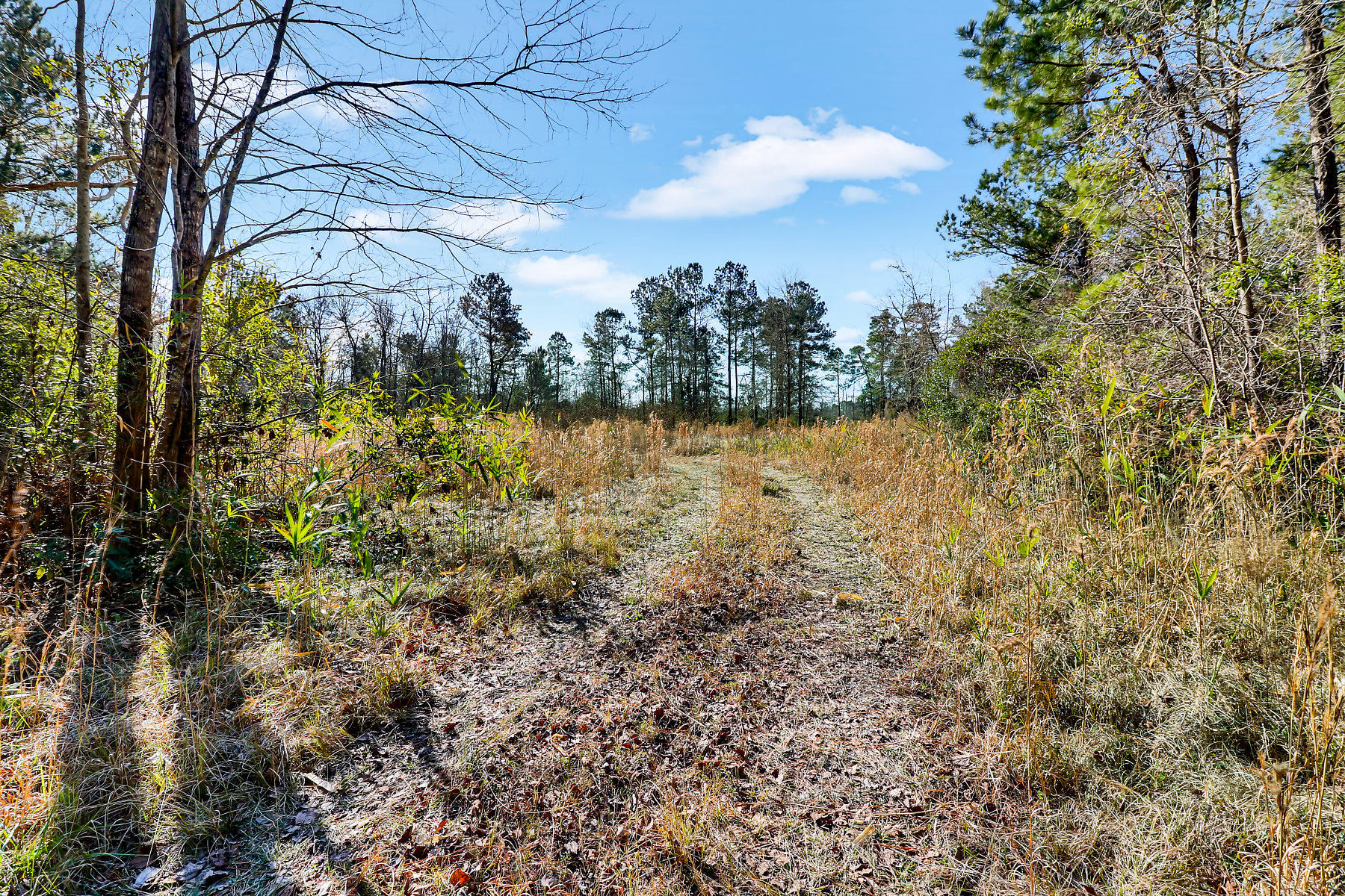 1081 Viper Road Cross, SC 29436 - Photo 7 of 22 _11A6384-SMALL