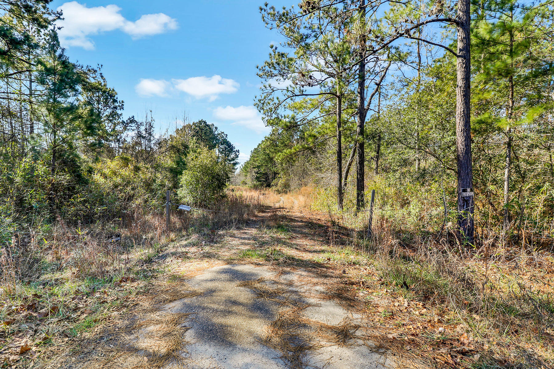 1081 Viper Road Cross, SC 29436 - Photo 9 of 22 _11A6398-SMALL