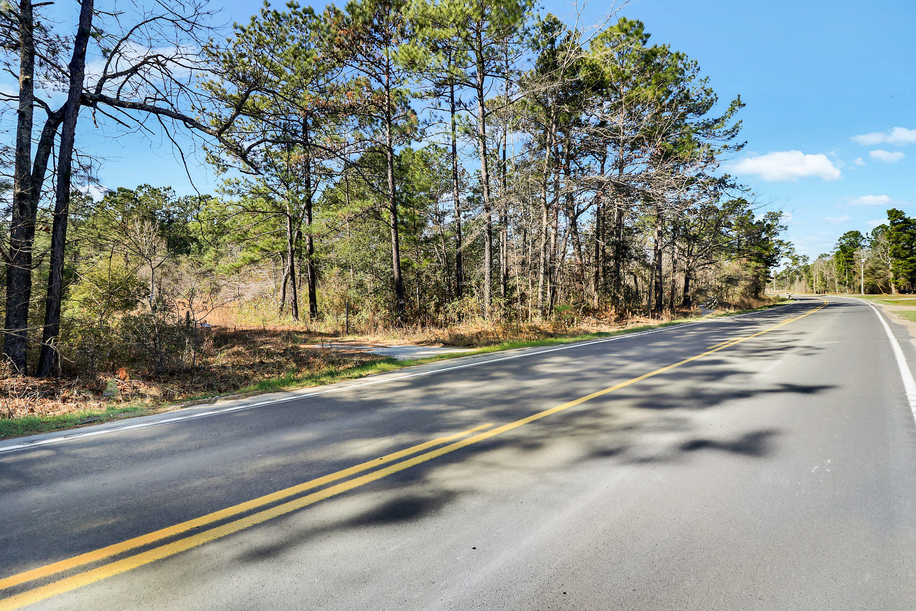 1081 Viper Road Cross, SC 29436 - Photo 10 of 22 _11A6405-SMALL