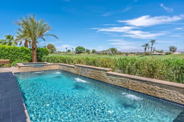 a view of a garden with plants