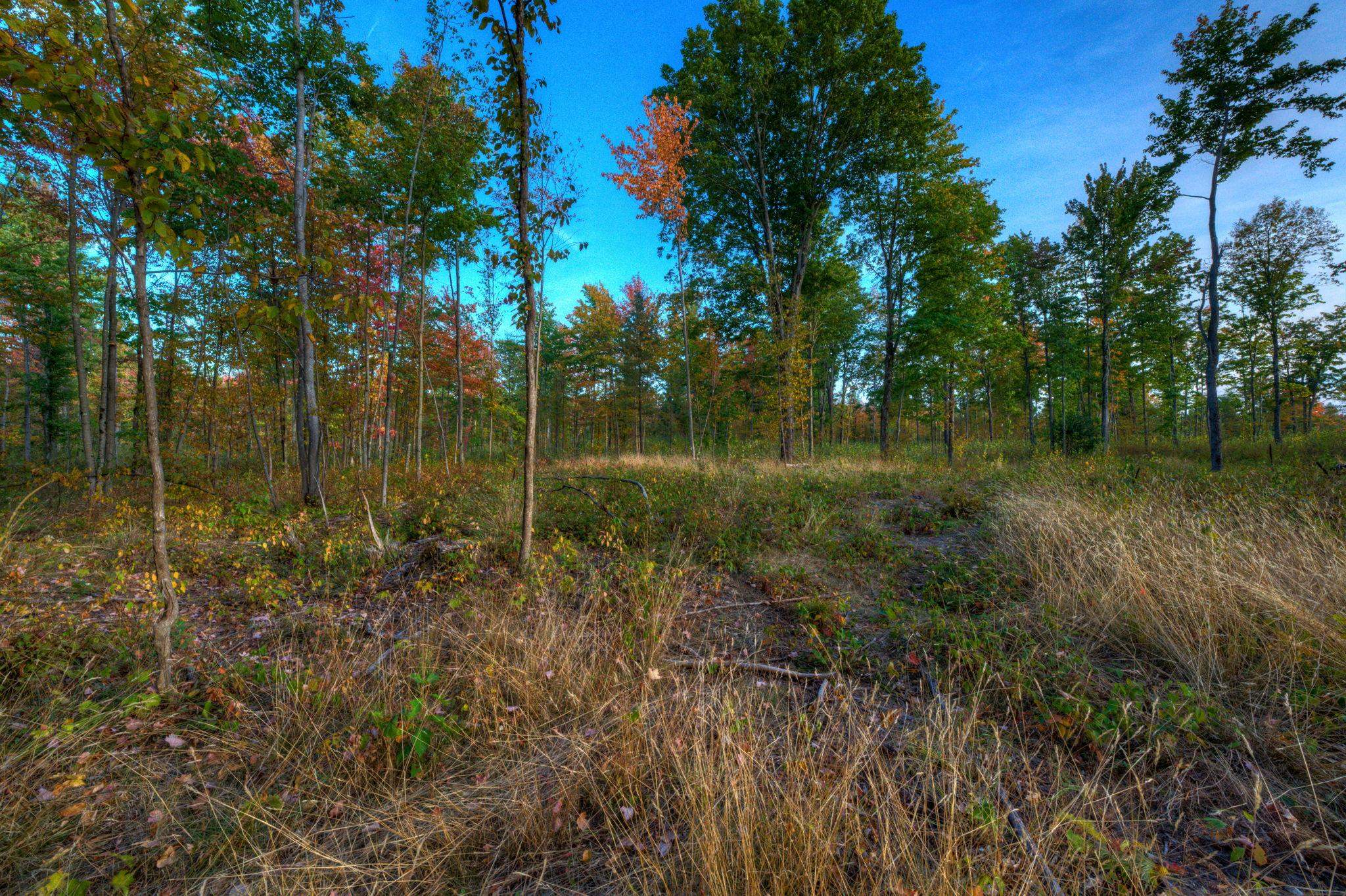 755 North Carmean Road Interlochen, MI 49643 - Photo 52 of 65