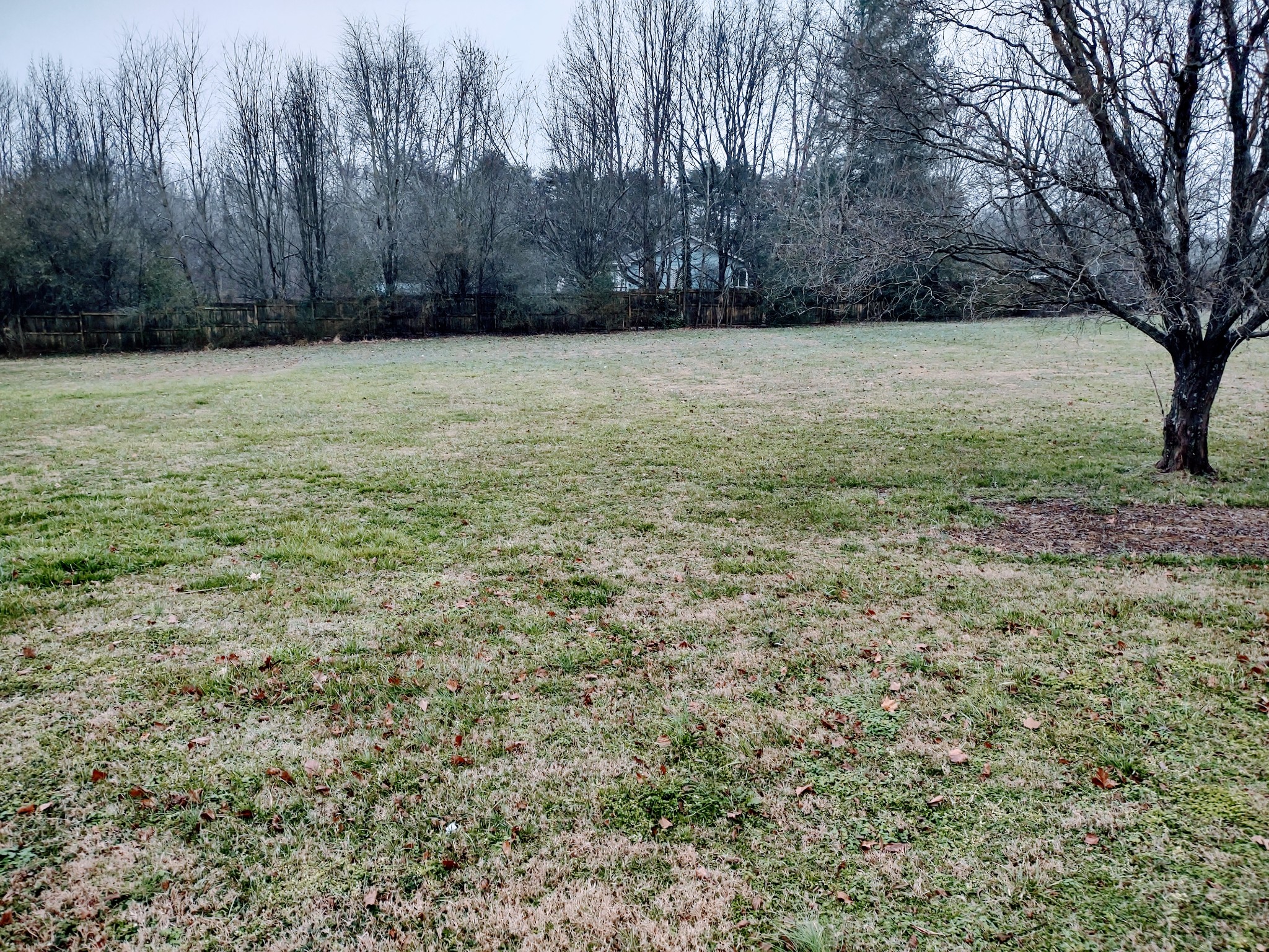 6841 Bethel Road Goodlettsville, TN 37072 - Photo 7 of 27 a view of a yard with a tree