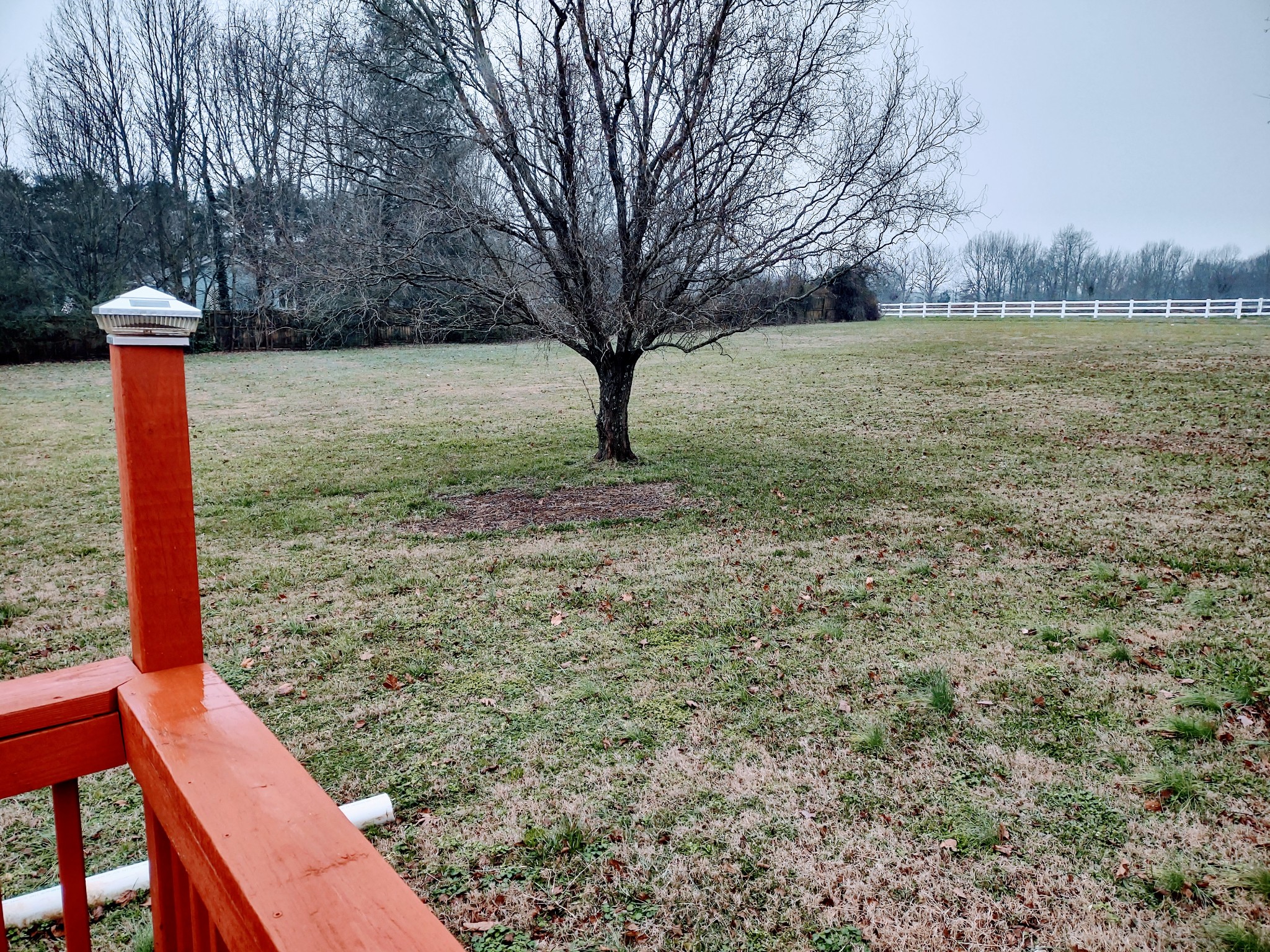6841 Bethel Road Goodlettsville, TN 37072 - Photo 8 of 27 a view of a yard with trees