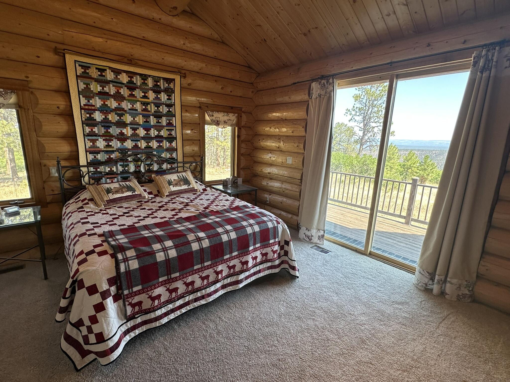 135 Canyon Rim Loop Placerville, CO 81430 - Photo 16 of 61 Primary BR