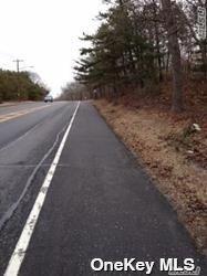 Middle Country Road Middle Island, NY 11953 - Photo 7 of 7 Gallery Image 7