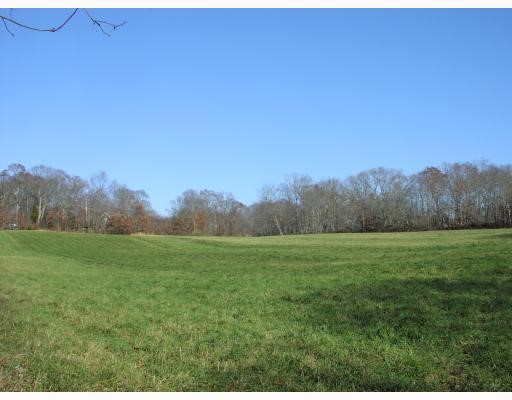 Upper open field