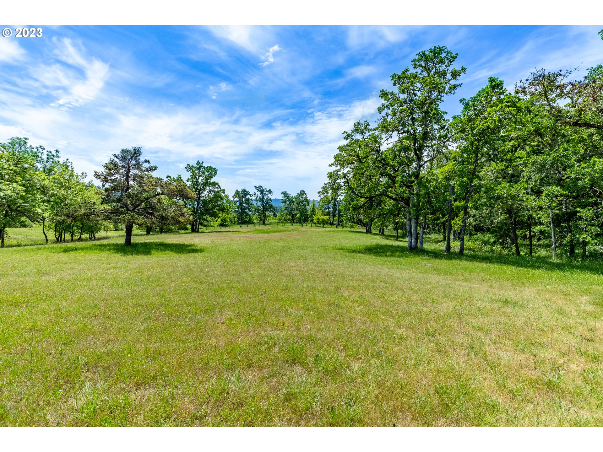 86705 Pine Grove Road Eugene, OR 97402 - Photo 7 of 48 a view of a field with an trees