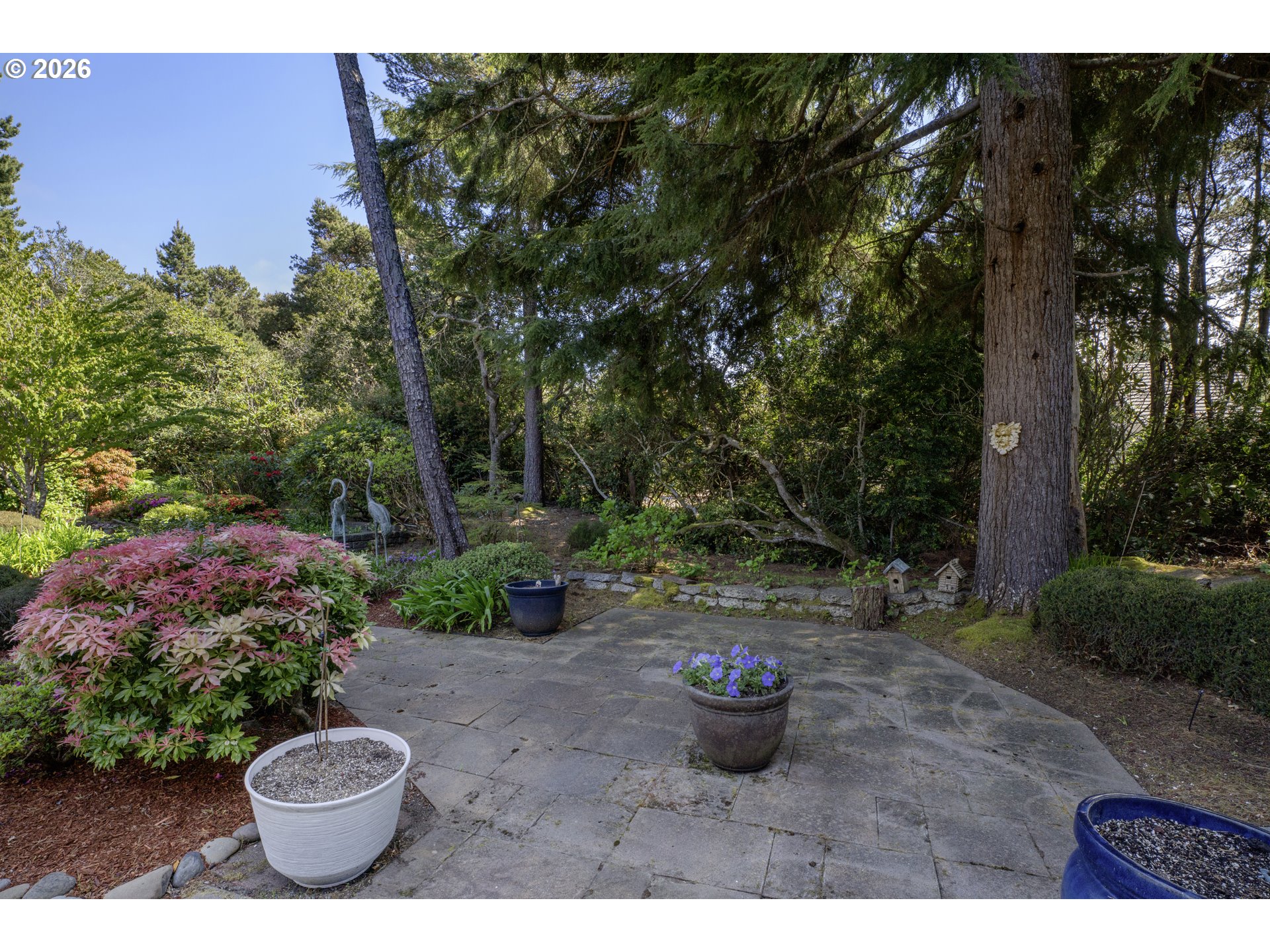 109 Ocean View Court Florence, OR 97439 - Photo 38 of 48 a view of a backyard with table and chairs potted plants and large tree