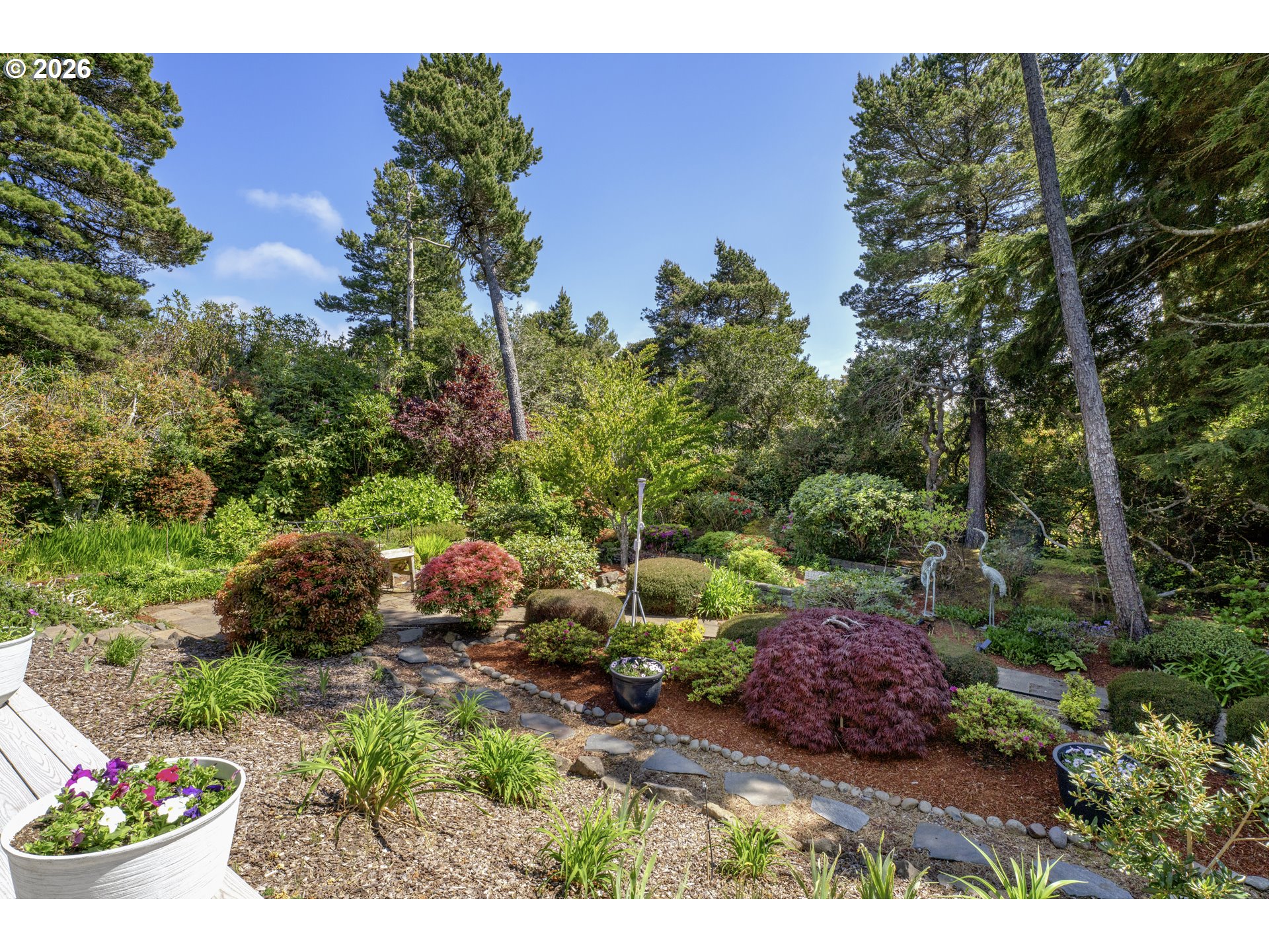 109 Ocean View Court Florence, OR 97439 - Photo 40 of 48 a view of a garden with plants and large trees