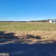 0 Box Iron Road Girdletree, MD 21829 - Photo 1 of 2 Gallery Image 1