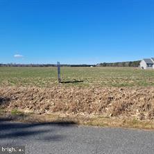 0 Box Iron Road Girdletree, MD 21829 - Photo 2 of 2 Gallery Image 2