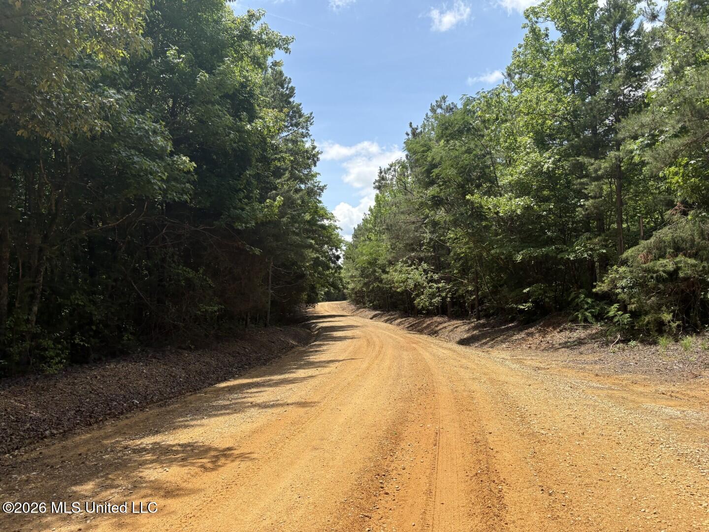 180 County Road New Albany, MS 38652 - Photo 9 of 61 Photo Jun 02 2026, 12 18 39 PM (Large)