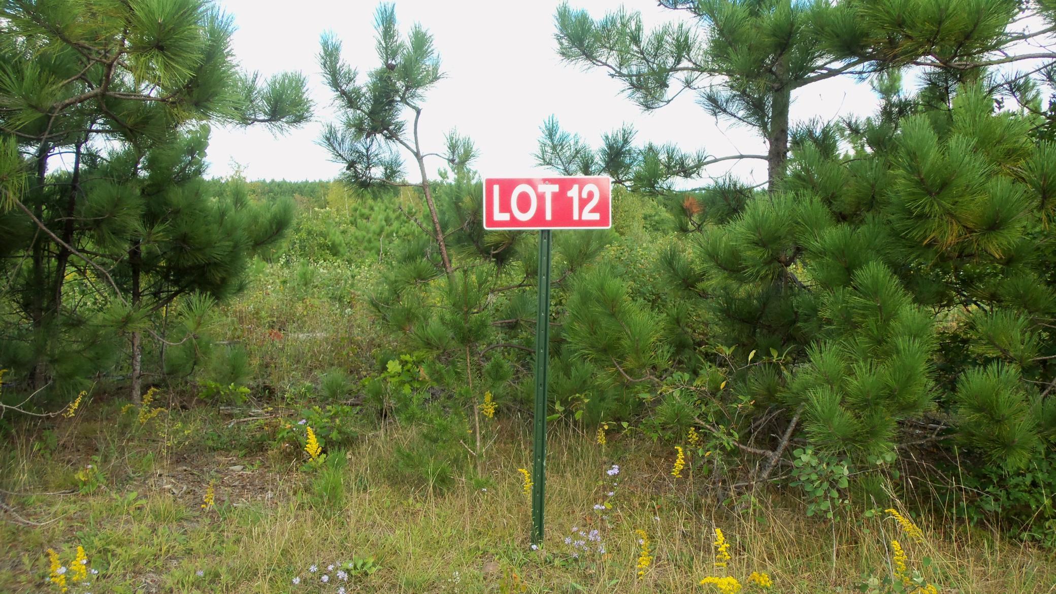 Lot 12 PineTree Trail Springbrook, WI 54875 - Photo 1 of 1