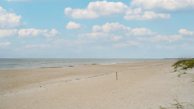 a view of a lake with large trees