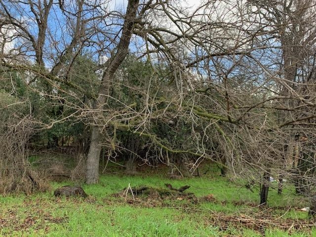 Lot A Walnut Street Red Bluff, CA 96080 - Photo 8 of 19