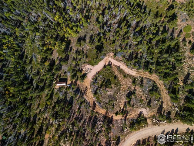 a view of a tree in a yard