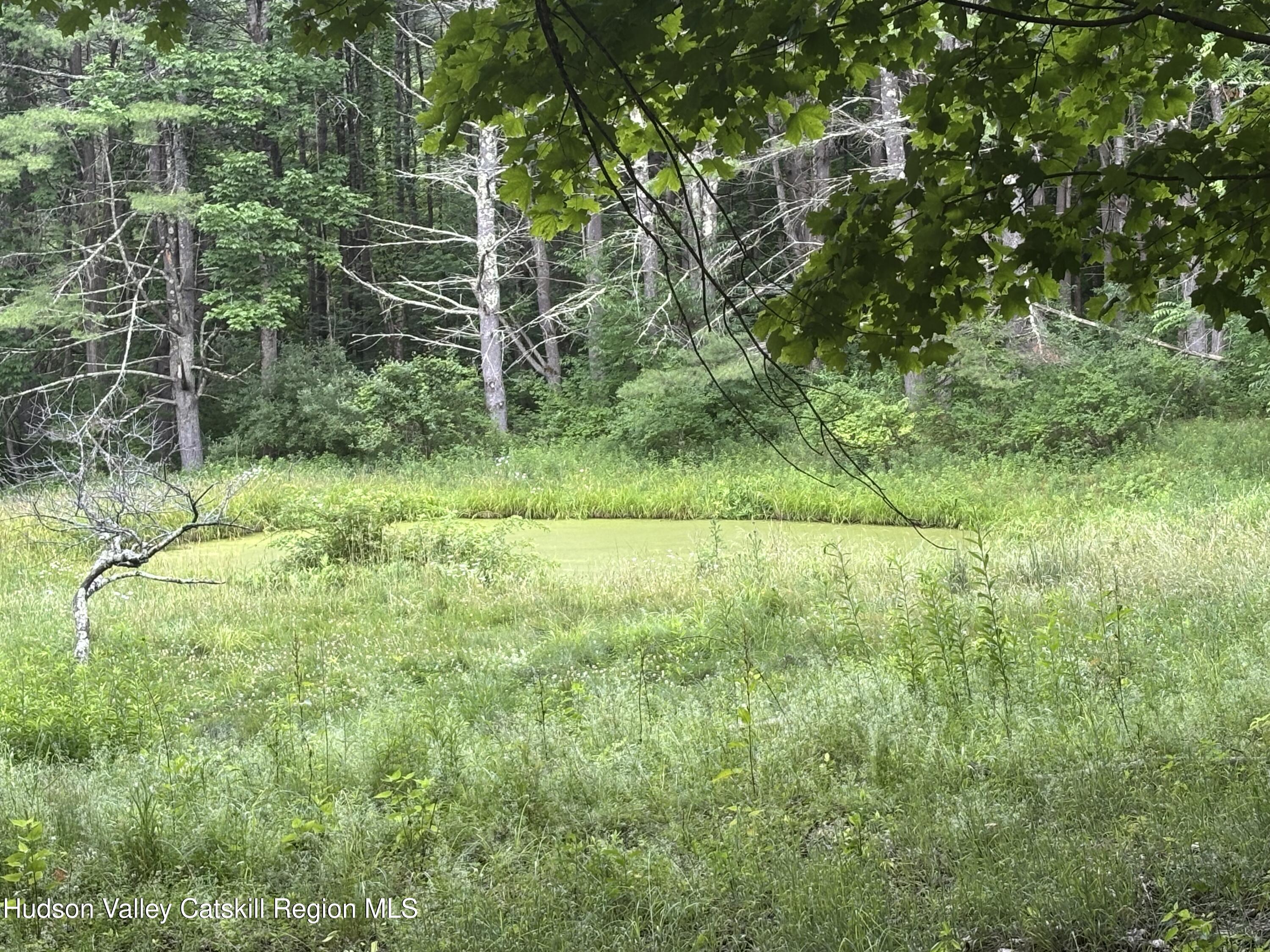 344 Pleasant Valley Road Fultonham, NY 12071 - Photo 22 of 27 Pond