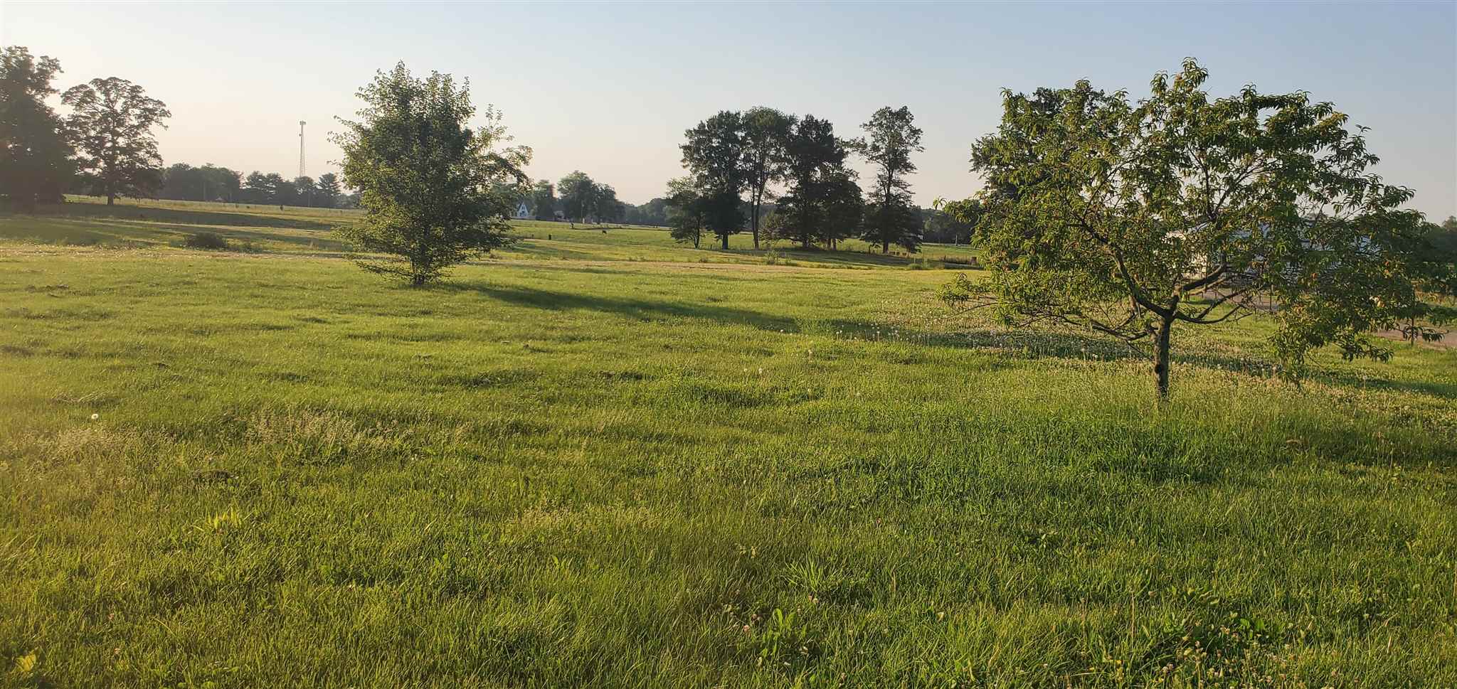 6000-blk McCarty Road Kinmundy, IL 62854 - Photo 1 of 7 Gallery Image 1