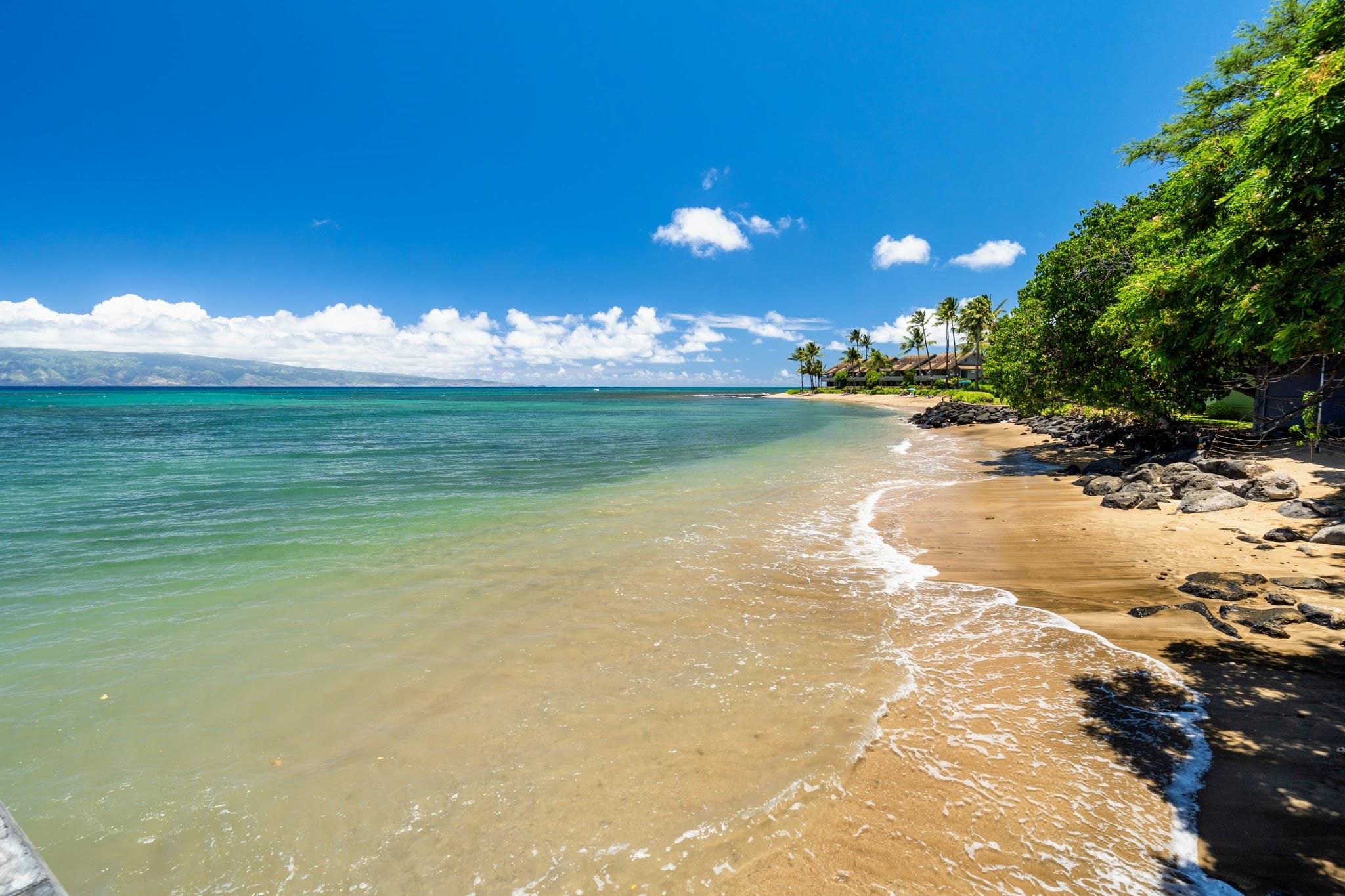 4471 Lower Honoapiilani Road, Unit 301 Lahaina, HI 96761 - Photo 17 of 29 Gallery Image 17