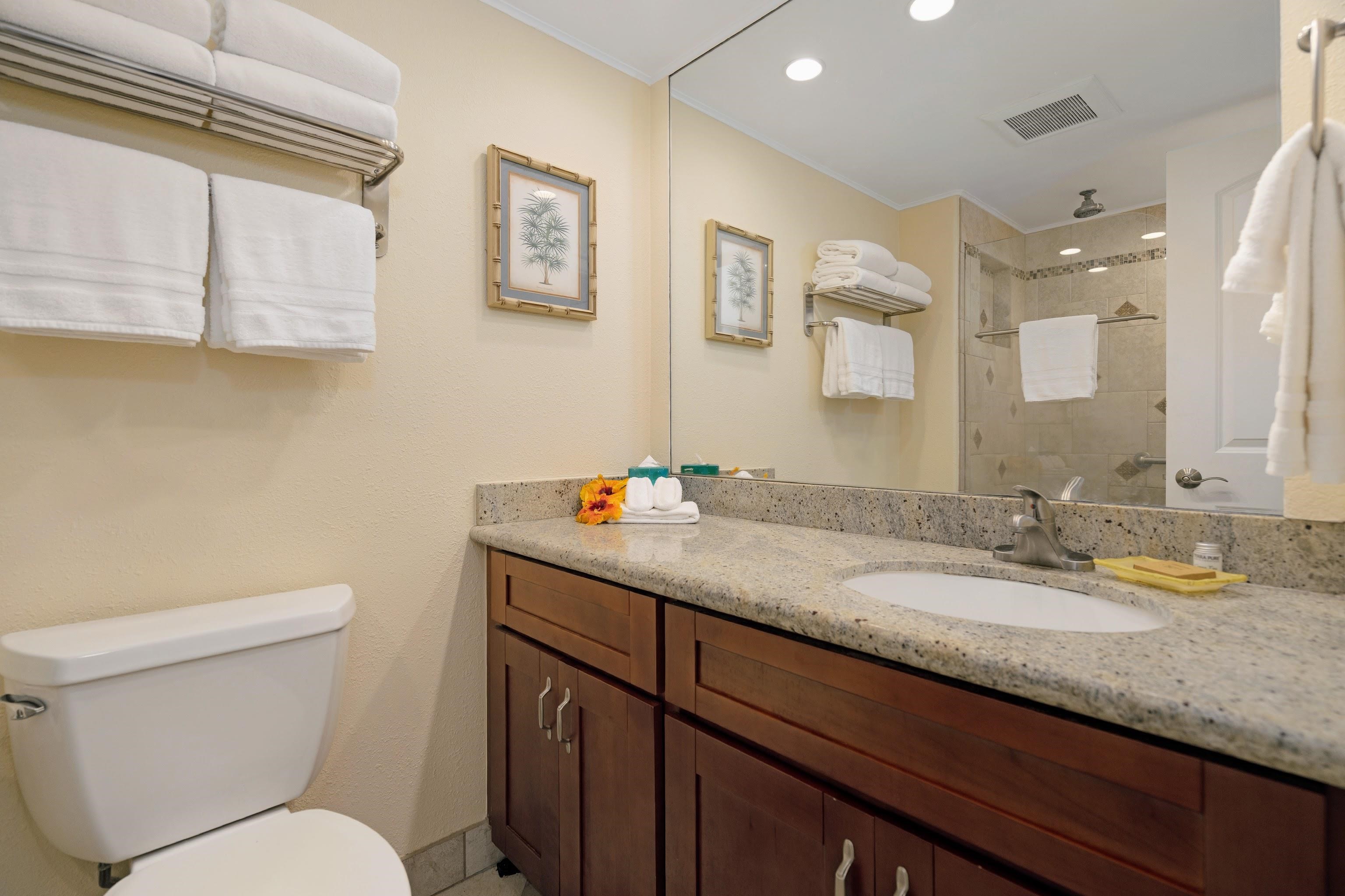 4471 Lower Honoapiilani Road, Unit 301 Lahaina, HI 96761 - Photo 21 of 29 Gallery Image 21
