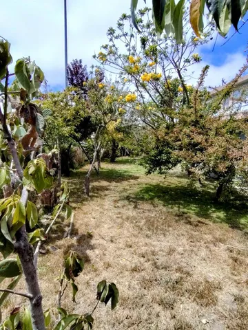 $700,000 | 230 Paloma Avenue, Salinas, CA 93905