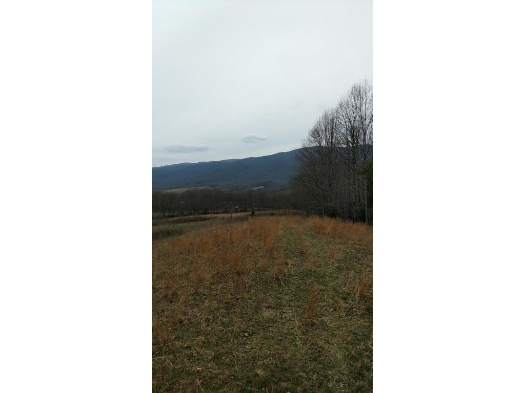 299 Hodge Branch Road Elizabethton, TN 37643 - Photo 1 of 4 Photo 1