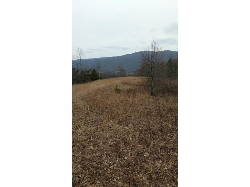 299 Hodge Branch Road Elizabethton, TN 37643 - Photo 2 of 4 Photo 2